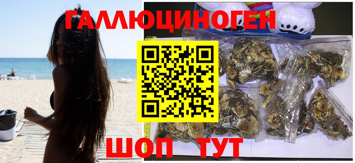 Галлюциногенные грибы прущие грибы  Галлюциногенные грибы прущие грибы  Череповец  Вход с VPN 