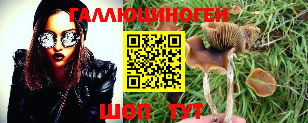 Псилоцибиновые грибы Cubensis Череповец
